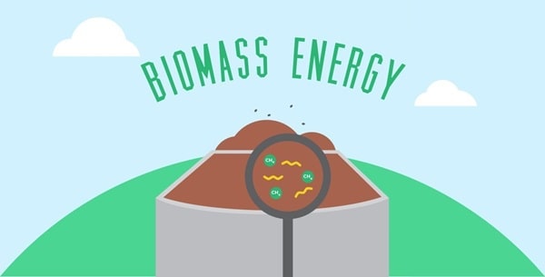 Biomass Energy Advantages and Disadvantages