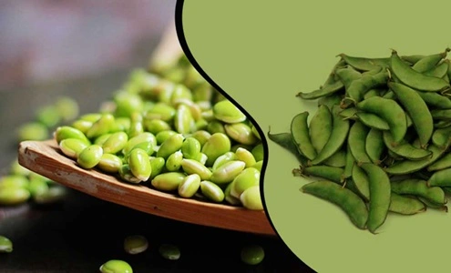 15 Interesting Facts About Karnataka