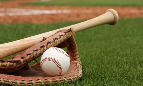 16 Interesting Facts About Baseball