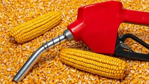 20 Fun Facts About Ethanol That Will Surprise You