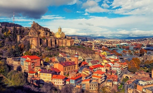 15 Facts About Potatoes in Georgia