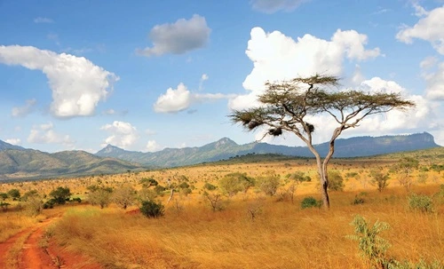 15 Fascinating Facts About Kenya