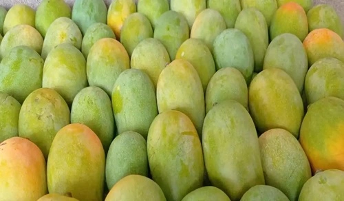 Kesar