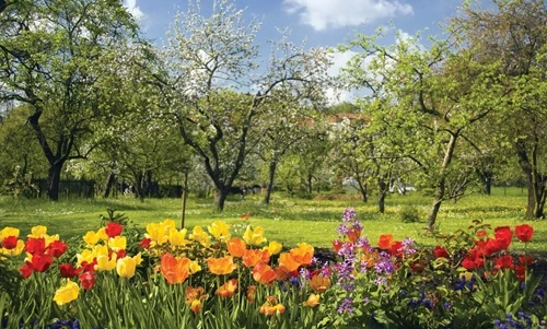 15 Interesting Facts About Spring