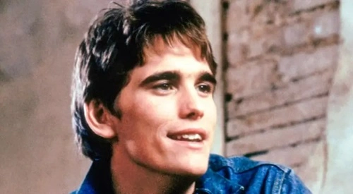 Why Did Dally Go To Jail In The Outsiders?