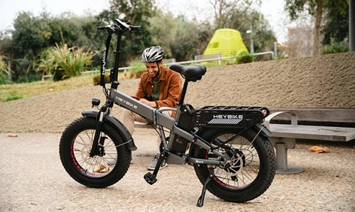 Ebikes